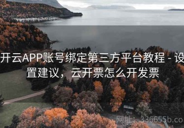 开云APP账号绑定第三方平台教程 - 设置建议，云开票怎么开发票