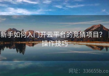 新手如何入门开云平台的竞猜项目？｜操作技巧