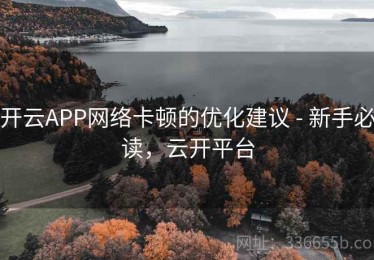 开云APP网络卡顿的优化建议 - 新手必读，云开平台