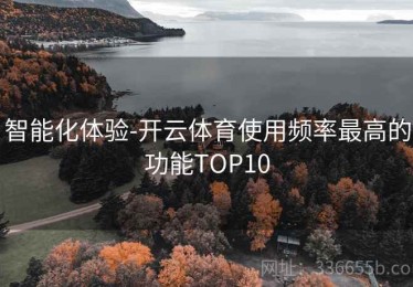 智能化体验-开云体育使用频率最高的功能TOP10