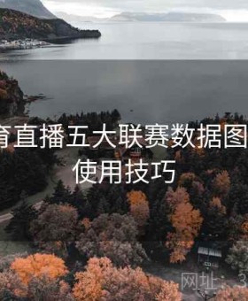 开云体育直播五大联赛数据图表解析｜使用技巧