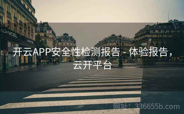 开云APP安全性检测报告 - 体验报告，云开平台