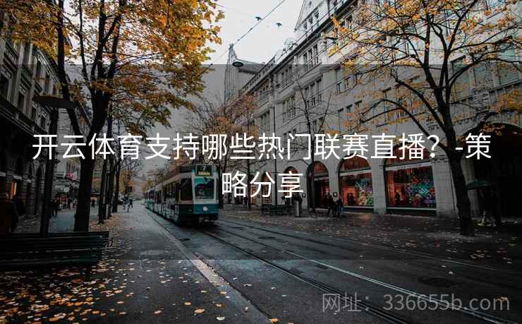 开云体育支持哪些热门联赛直播？-策略分享