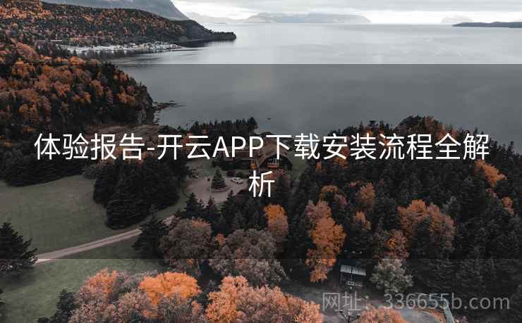 体验报告-开云APP下载安装流程全解析