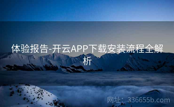 体验报告-开云APP下载安装流程全解析