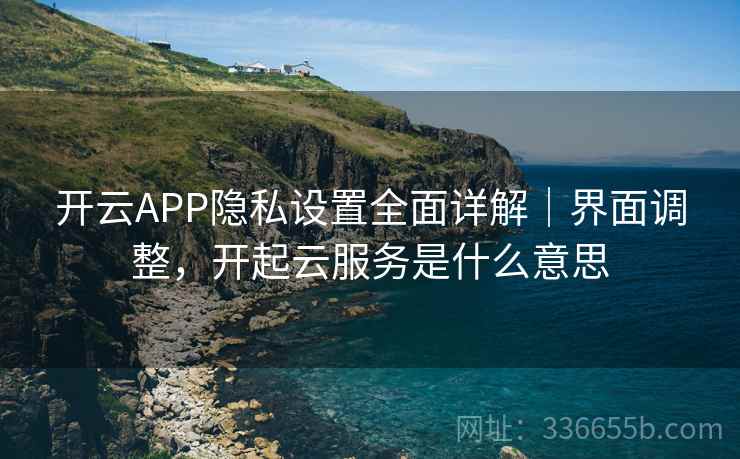 开云APP隐私设置全面详解｜界面调整，开起云服务是什么意思