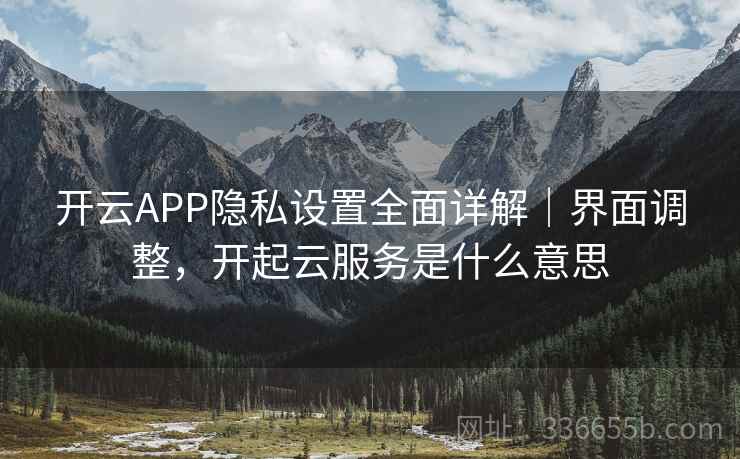 开云APP隐私设置全面详解｜界面调整，开起云服务是什么意思