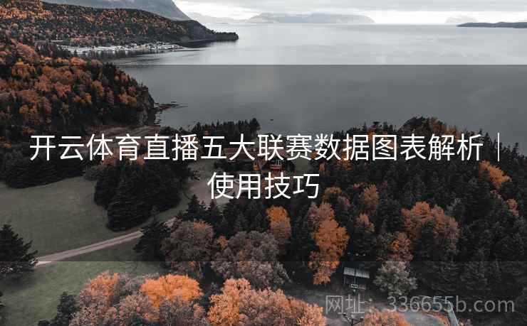 开云体育直播五大联赛数据图表解析｜使用技巧